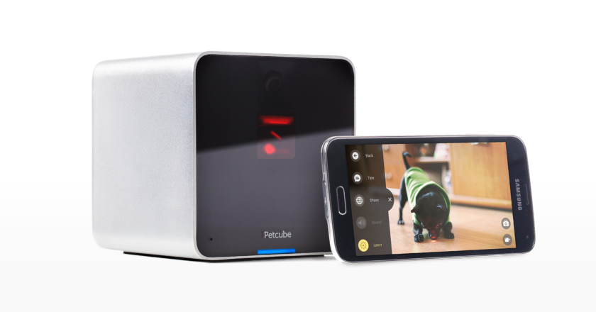 Petcube_Camera_Light_Android