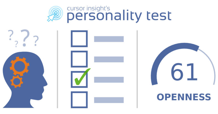 cursor insight survey