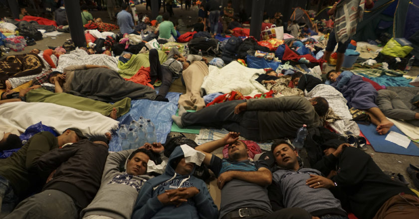 offline refugees