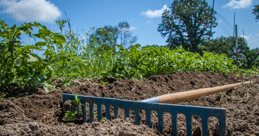 agtech, ukraine, startup, competition, investment